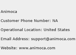 Animoca Phone Number Customer Service