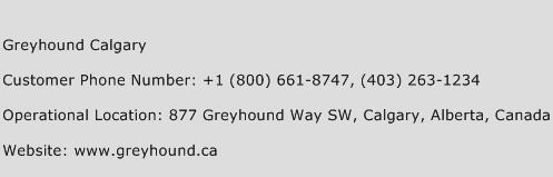 Greyhound Calgary Phone Number Customer Service