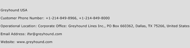 Greyhound USA Phone Number Customer Service